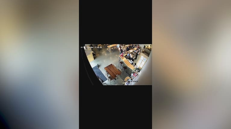 A fur seal pup in the Sprig + Fern The Meadows