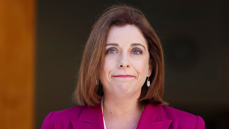 Sports minister charged taxpayers $1000 for car to wait seven hours at Australian Open