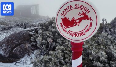 Christmas morning snow on Kunanyi/Mount Wellington and central Tasmania