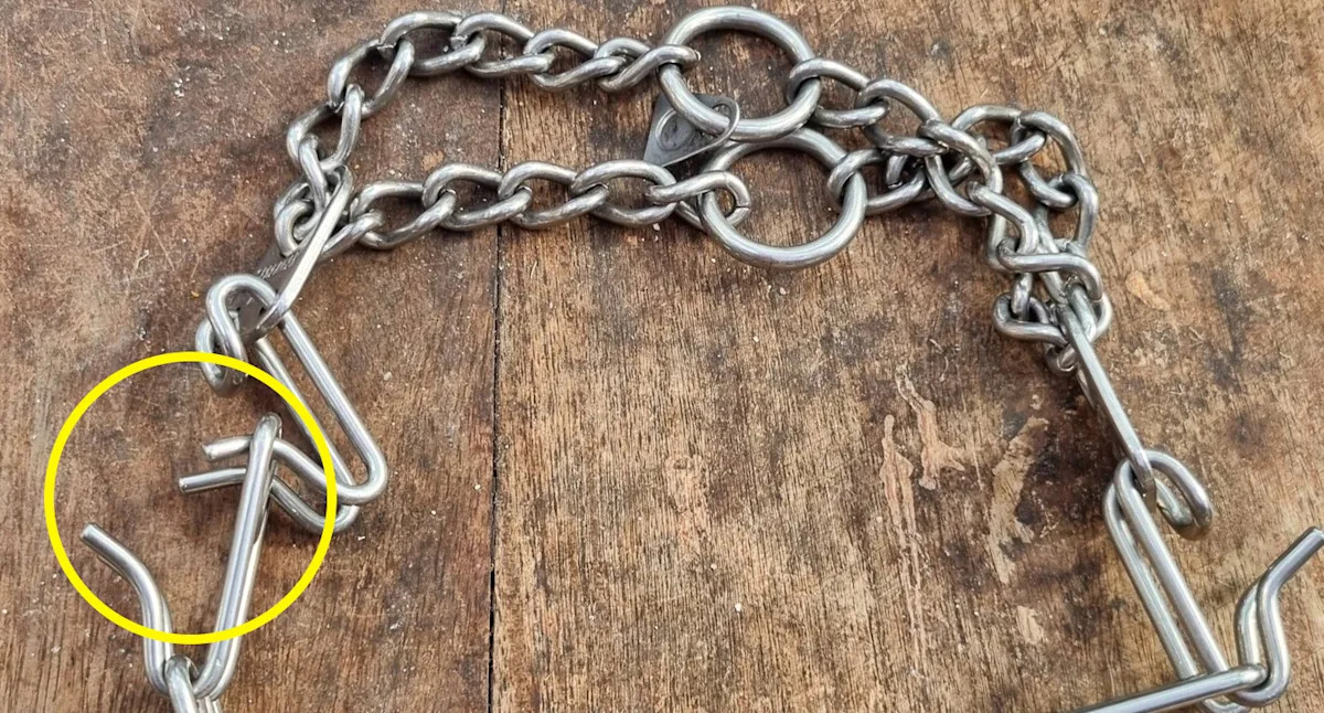 Aussie pet owners warned about overseas product illegal to import into Australia: 'Dispose of it immediately'