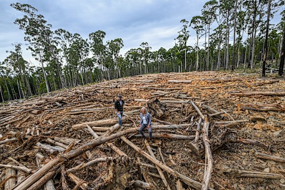 Conservationists Ben Gill (left) and Gayle Osborne in Wombat State Forest in March 2024.