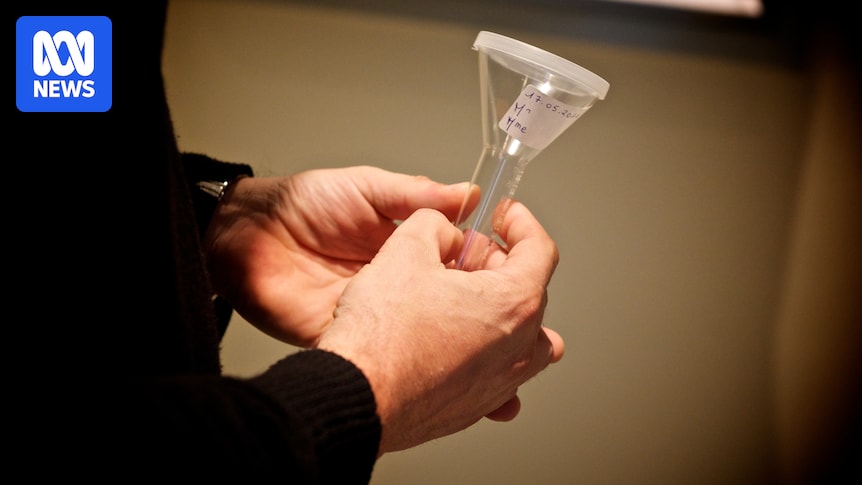 Nearly 200 children conceived from sperm donor with increased cancer risk