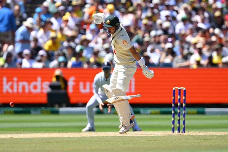 Australia batter Marnus Labuschagne drops his bat after being hit by a ball during a Test.