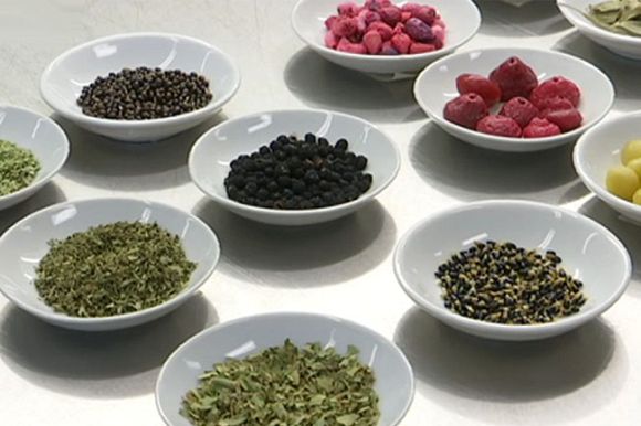 Tasting the truth: Australia’s native cuisine reclaims its power