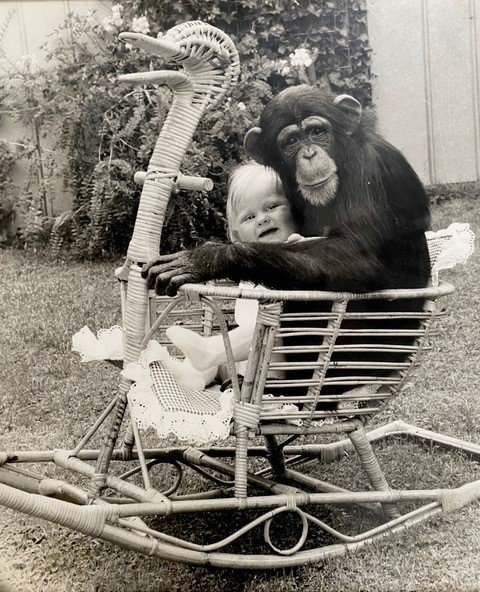 A photo of a young Natasha with beloved chimpanzee Bubsy.