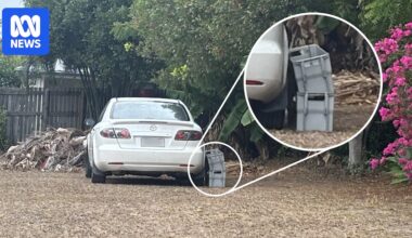 Australia Post confirms improper mail sorting in Queensland suburb