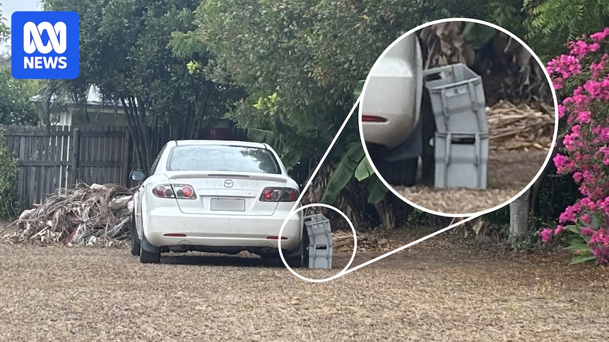 Australia Post confirms improper mail sorting in Queensland suburb