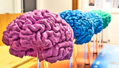 Team discovers molecular difference in brains of people with autism