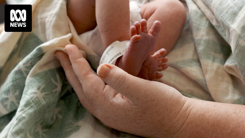 Not all babies need a hepatitis B shot at birth, US vaccine advisers say