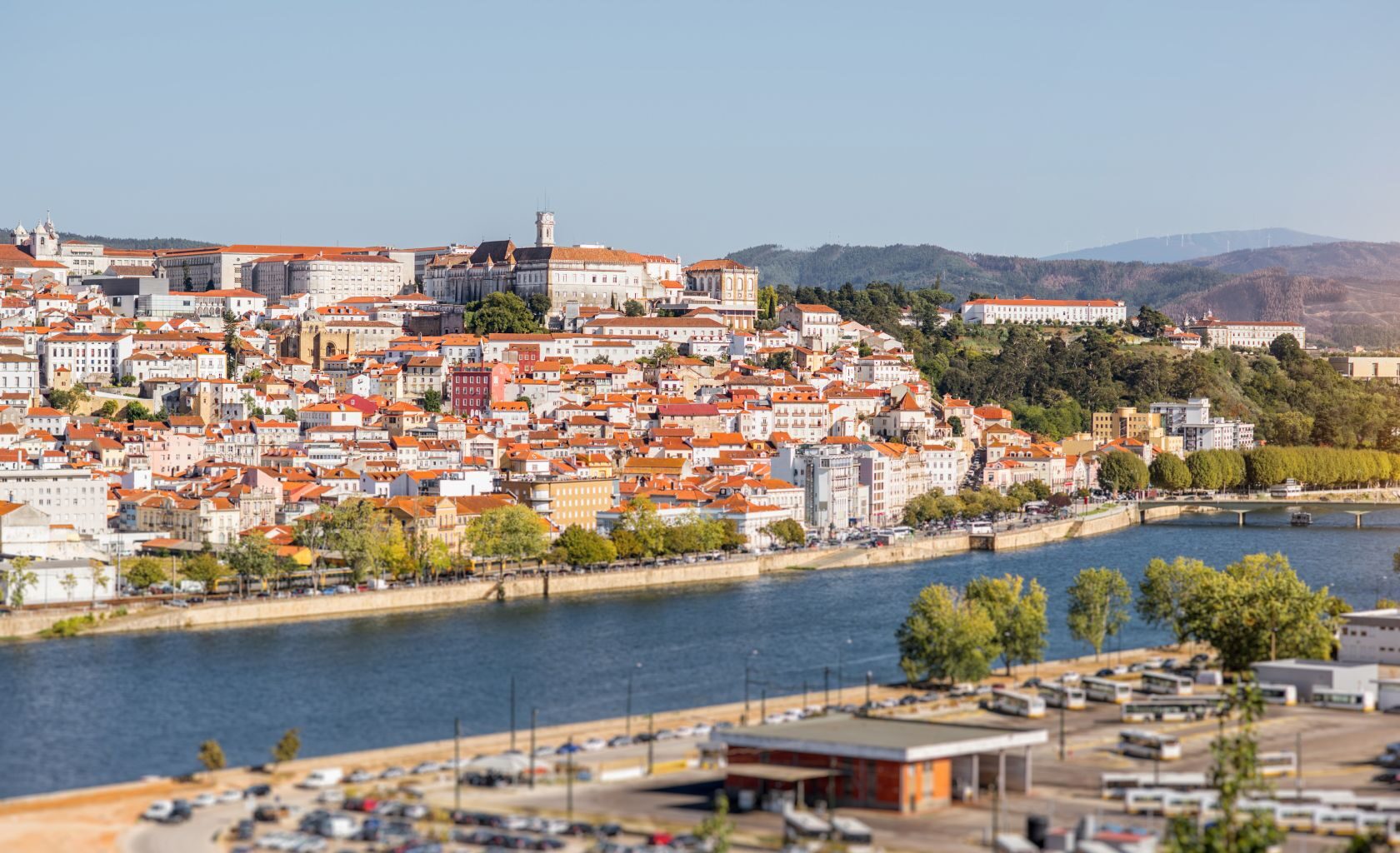 Portugal household savings stabilise - The Portugal News