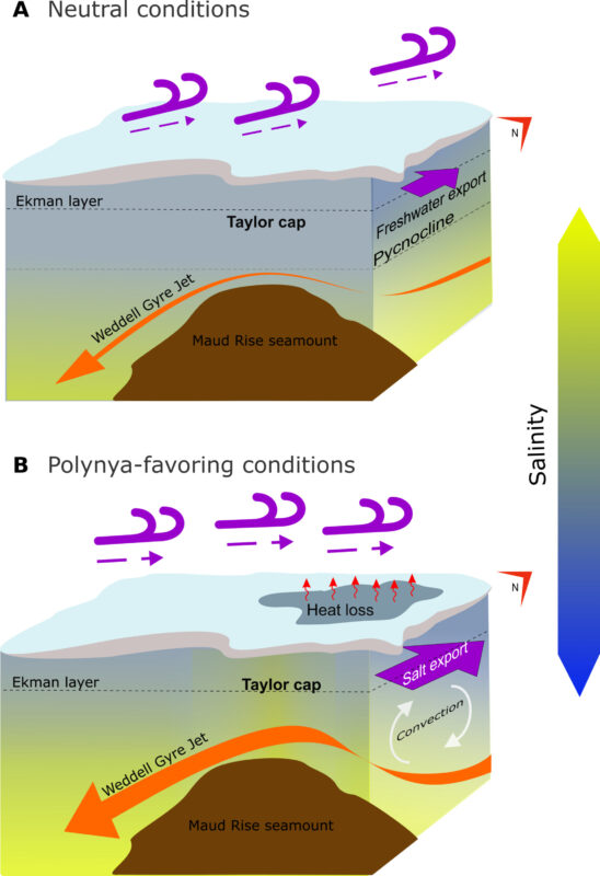 Conceptual Model Showing How Intensified Winds And Ekman Driven Salt Export Over The Maud Rise Can Destabilize The Ocean Surface