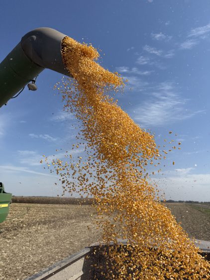 Corn Cycling Back Down | American Ag Network