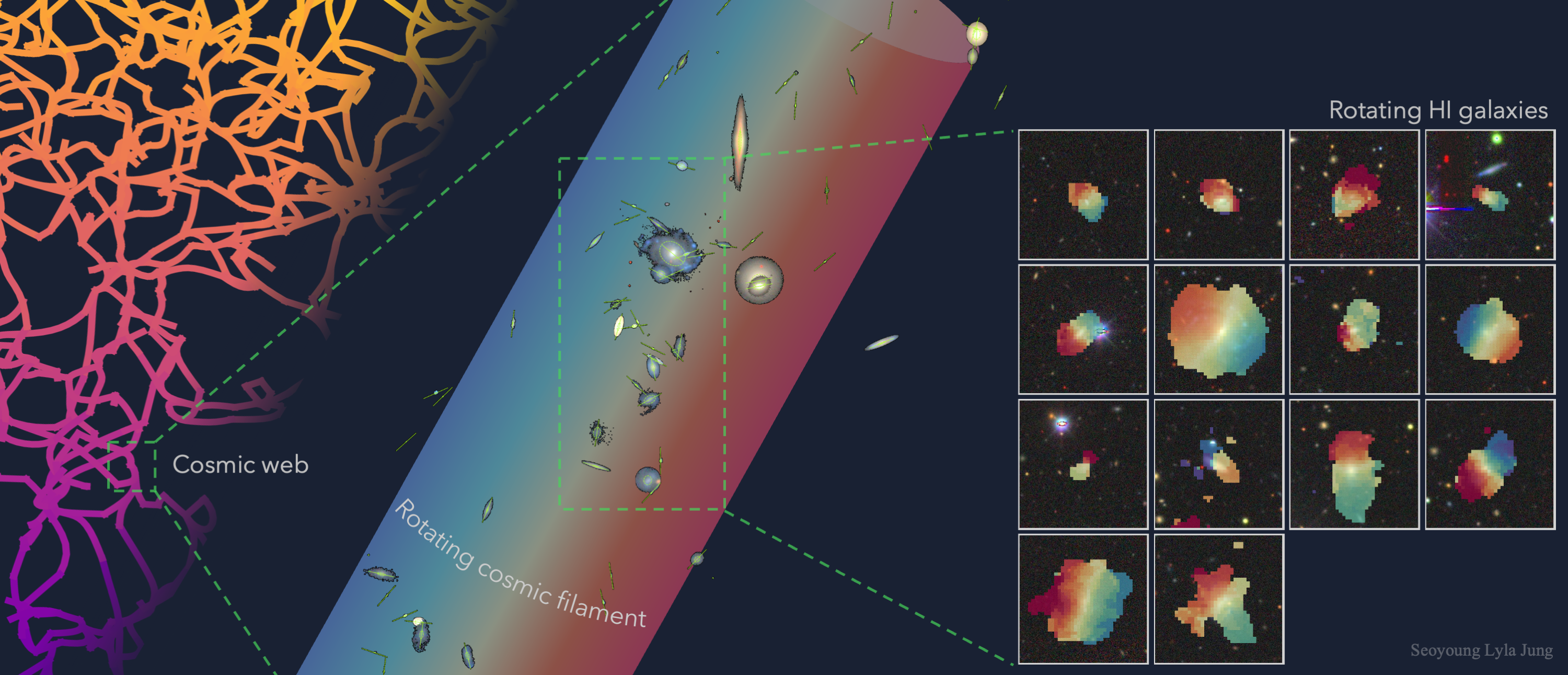 A figure showing the rotation of neutral hydrogen (right) in galaxies spotted in a giant filament of the cosmic web (middle)