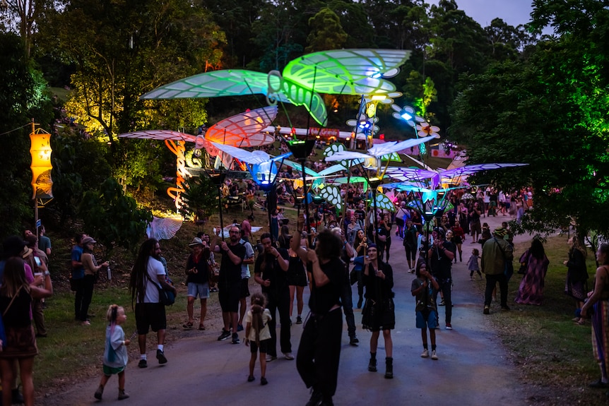 Crowd at Woodford Folk Festival 2025
