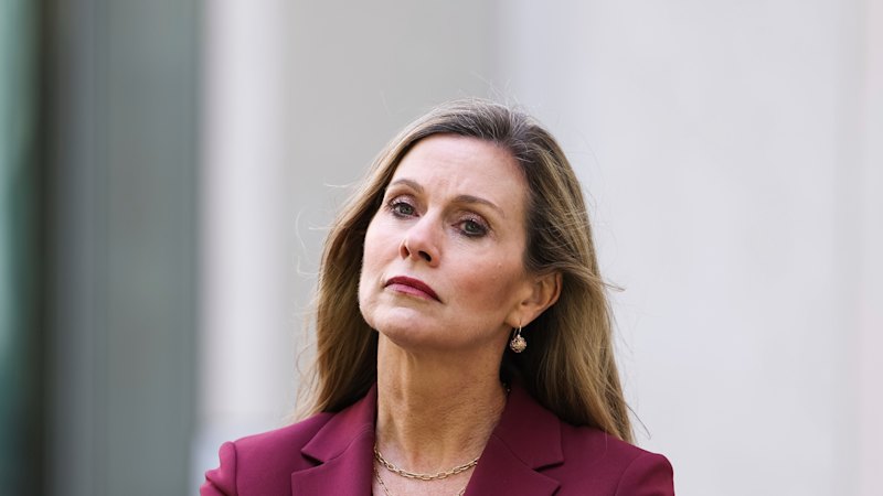 Julie Inman Grant accused of harassing US companies over social media ban