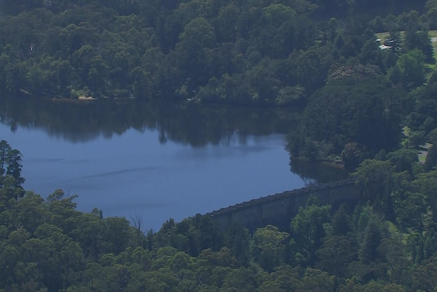 Water butts up against a curved dam wall, with thick trees surrounding all sides of the dam.