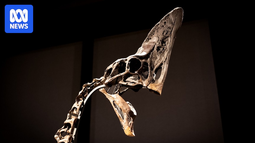 Fossil trade threatens scientific endeavour