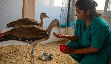 Corporate Environmental Duty: Supreme Court Mandate Expanded - Deccan Herald