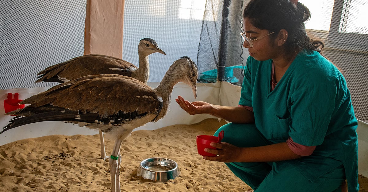 Corporate Environmental Duty: Supreme Court Mandate Expanded - Deccan Herald