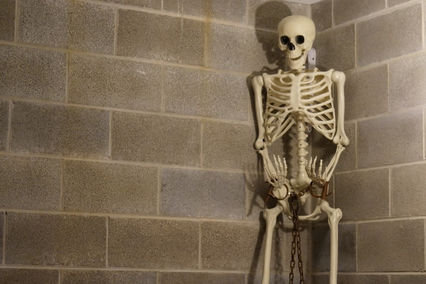 Fake skeletons adorned with leg-irons and handcuffs hang on "dungeon" walls.