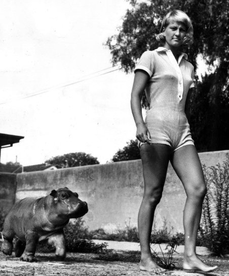 Maryke with the pygmy hippo Cuddles. 