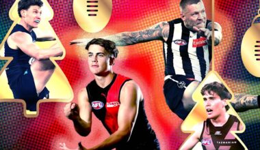 What your AFL club wants for Christmas. The wishes of clubs including Collingwood Magpies, Essendon Bombers, Hawthorn Hawks, Geelong Cats, West Coast Eagles and Carlton Blues
