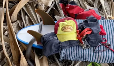 Surfer's reaction to imminent threat shows the 'exact thing' Aussies should do