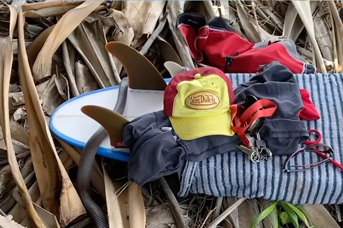 Surfer's reaction to imminent threat shows the 'exact thing' Aussies should do