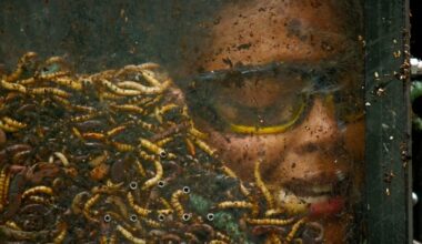 'Fear Factor: House of Fear' Trailer - Johnny Knoxville Reboots the Reality Competition in January