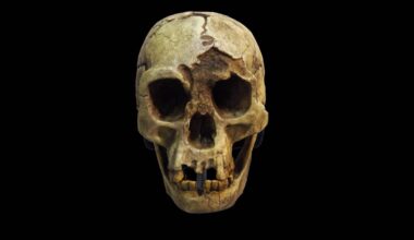 The ‘hobbits’ mysteriously disappeared 50,000 years ago. Our new study reveals what happened to their home