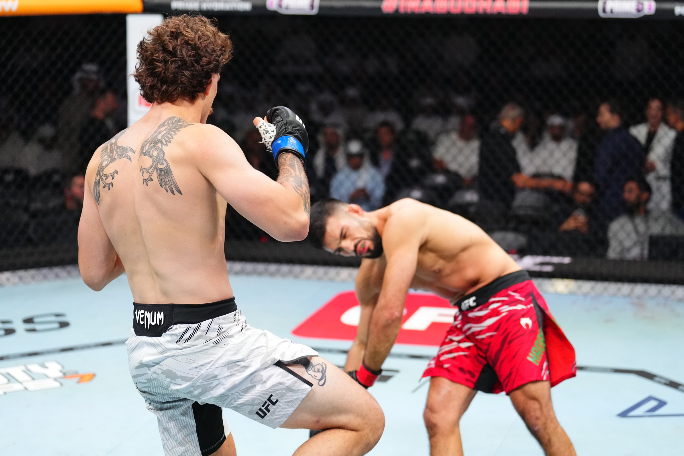 ABU DHABI, UNITED ARAB EMIRATES - OCTOBER 25: (L-R) Quillan Salkilld of Australia knocks out Nasrat Haqparast of Germany in a lightweight fight during the UFC 321 event at Etihad Arena on October 25, 2025 in Abu Dhabi, United Arab Emirates. (Photo by Chris Unger/Zuffa LLC)