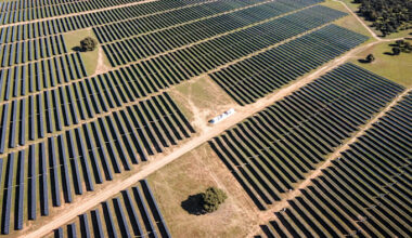 Rows of solar panels at a solar park with several trees growing in spaces between the panel arrays.