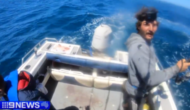 'Amazing experience' as great white shark snagged off Barwon Heads