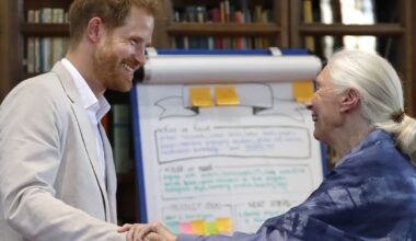 Prince Harry refutes claims he referred to Prince Archie as his 'little African child' to Jane Goodall