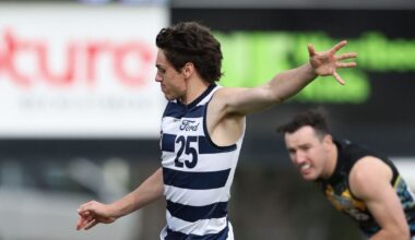 Cut Cats midfielder lands at local club - AFL News