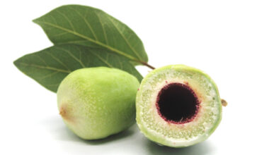 Native foods step up fight against chronic disease