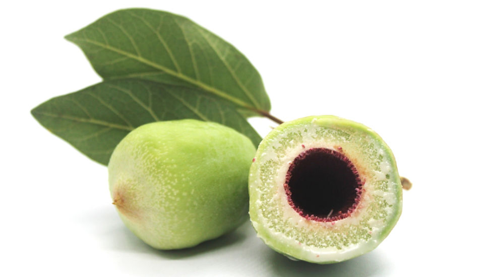 Native foods step up fight against chronic disease