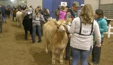 olympus-digital-camera-7122