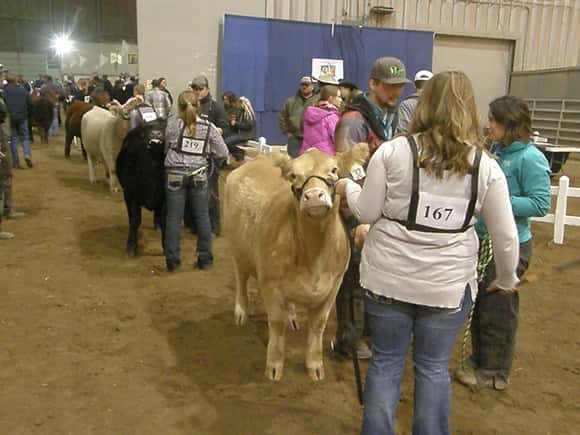 olympus-digital-camera-7122