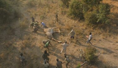 BBC One - Kingdom - Expect the unexpected: Bringing down a giant