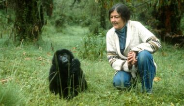 The mysterious murder of gorilla researcher Dian Fossey