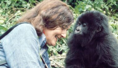 The woman who gave her life to save the gorillas