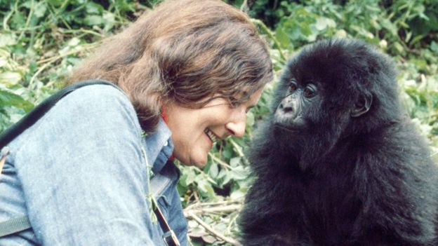The woman who gave her life to save the gorillas
