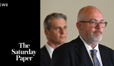 Labor’s new AI plan puts faith in self-regulation