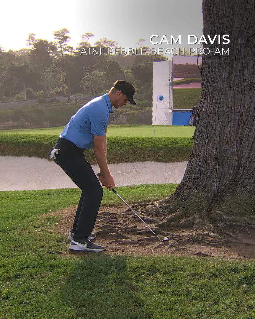 The Craziest Shots of the 2025 PGA Tour Season