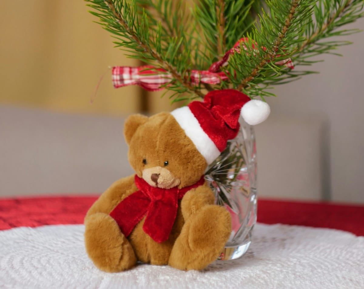 Senators Make Statement with Dominant 6-2 Rout of Bruins