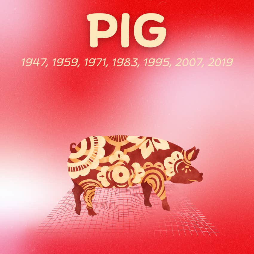 pig chinese zodiac signs joy abundance December 25 2025