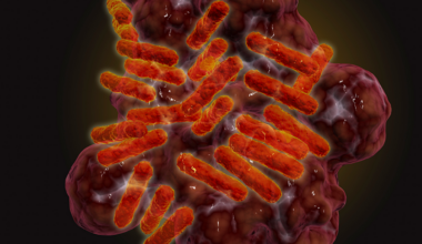 New Tick-Borne Disease Discovered in Dogs May Pose a Risk to Humans : ScienceAlert