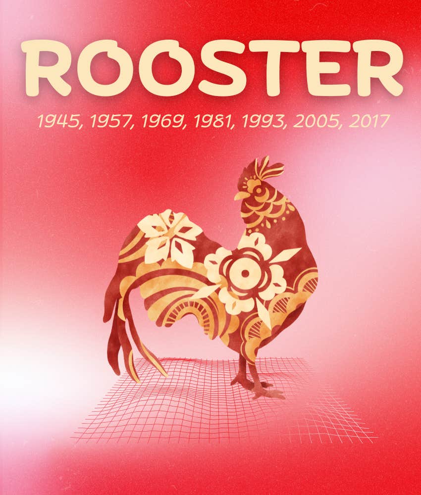 rooster chinese zodiac signs weekly horoscope december 22 - 28, 2025