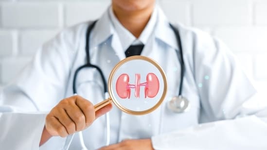 Young Malaysians face rising kidney issues due to poor lifestyle choices.(Shutterstock)